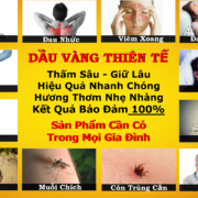 dau thien te1